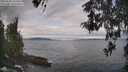 ./images/koeye/fitz-hugh/20260509/fitz-hugh20260509_103501M.jpg