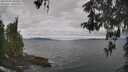 ./images/koeye/fitz-hugh/20260509/fitz-hugh20260509_104502M.jpg
