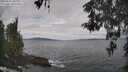 ./images/koeye/fitz-hugh/20260509/fitz-hugh20260509_110001M.jpg