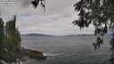 ./images/koeye/fitz-hugh/20260509/fitz-hugh20260509_110501M.jpg