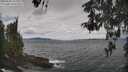 ./images/koeye/fitz-hugh/20260509/fitz-hugh20260509_113001M.jpg