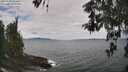 ./images/koeye/fitz-hugh/20260509/fitz-hugh20260509_114502M.jpg
