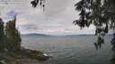./images/koeye/fitz-hugh/20260509/fitz-hugh20260509_120001M.jpg