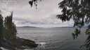 ./images/koeye/fitz-hugh/20260509/fitz-hugh20260509_124501M.jpg