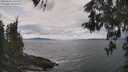 ./images/koeye/fitz-hugh/20260509/fitz-hugh20260509_125501M.jpg
