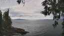 ./images/koeye/fitz-hugh/20260509/fitz-hugh20260509_130001M.jpg