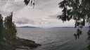 ./images/koeye/fitz-hugh/20260509/fitz-hugh20260509_131002M.jpg