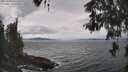 ./images/koeye/fitz-hugh/20260509/fitz-hugh20260509_131502M.jpg