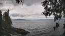 ./images/koeye/fitz-hugh/20260509/fitz-hugh20260509_132501M.jpg