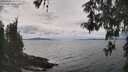 ./images/koeye/fitz-hugh/20260509/fitz-hugh20260509_133502M.jpg