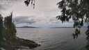 ./images/koeye/fitz-hugh/20260509/fitz-hugh20260509_134501M.jpg