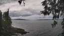 ./images/koeye/fitz-hugh/20260509/fitz-hugh20260509_140001M.jpg