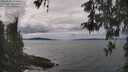 ./images/koeye/fitz-hugh/20260509/fitz-hugh20260509_140501M.jpg