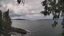 ./images/koeye/fitz-hugh/20260509/fitz-hugh20260509_141502M.jpg