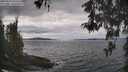 ./images/koeye/fitz-hugh/20260509/fitz-hugh20260509_142501M.jpg