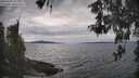 ./images/koeye/fitz-hugh/20260509/fitz-hugh20260509_143001M.jpg