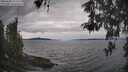 ./images/koeye/fitz-hugh/20260509/fitz-hugh20260509_143502M.jpg