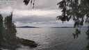 ./images/koeye/fitz-hugh/20260509/fitz-hugh20260509_150501M.jpg