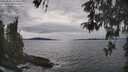 ./images/koeye/fitz-hugh/20260509/fitz-hugh20260509_152501M.jpg