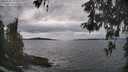 ./images/koeye/fitz-hugh/20260509/fitz-hugh20260509_153501M.jpg