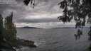 ./images/koeye/fitz-hugh/20260509/fitz-hugh20260509_154001M.jpg