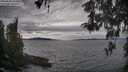 ./images/koeye/fitz-hugh/20260509/fitz-hugh20260509_154502M.jpg