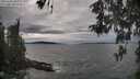 ./images/koeye/fitz-hugh/20260509/fitz-hugh20260509_170001M.jpg