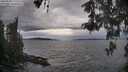 ./images/koeye/fitz-hugh/20260509/fitz-hugh20260509_171001M.jpg