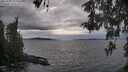 ./images/koeye/fitz-hugh/20260509/fitz-hugh20260509_171501M.jpg