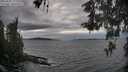 ./images/koeye/fitz-hugh/20260509/fitz-hugh20260509_172001M.jpg