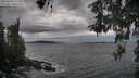 ./images/koeye/fitz-hugh/20260509/fitz-hugh20260509_172501M.jpg