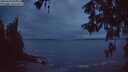 ./images/koeye/fitz-hugh/20260510/fitz-hugh20260510_051001M.jpg