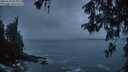 ./images/koeye/fitz-hugh/20260510/fitz-hugh20260510_052501M.jpg