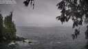 ./images/koeye/fitz-hugh/20260510/fitz-hugh20260510_070501M.jpg
