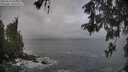 ./images/koeye/fitz-hugh/20260510/fitz-hugh20260510_080501M.jpg