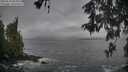 ./images/koeye/fitz-hugh/20260510/fitz-hugh20260510_081501M.jpg