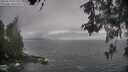 ./images/koeye/fitz-hugh/20260510/fitz-hugh20260510_091501M.jpg