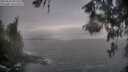 ./images/koeye/fitz-hugh/20260510/fitz-hugh20260510_092501M.jpg