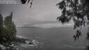 ./images/koeye/fitz-hugh/20260510/fitz-hugh20260510_093001M.jpg