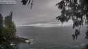 ./images/koeye/fitz-hugh/20260510/fitz-hugh20260510_093502M.jpg