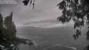 ./images/koeye/fitz-hugh/20260510/fitz-hugh20260510_094001M.jpg