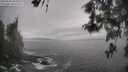 ./images/koeye/fitz-hugh/20260510/fitz-hugh20260510_094501M.jpg