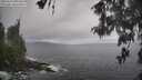 ./images/koeye/fitz-hugh/20260510/fitz-hugh20260510_095501M.jpg