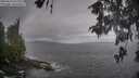 ./images/koeye/fitz-hugh/20260510/fitz-hugh20260510_100001M.jpg