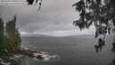 ./images/koeye/fitz-hugh/20260510/fitz-hugh20260510_101001M.jpg