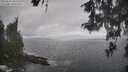 ./images/koeye/fitz-hugh/20260510/fitz-hugh20260510_101501M.jpg