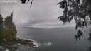 ./images/koeye/fitz-hugh/20260510/fitz-hugh20260510_102501M.jpg