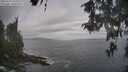 ./images/koeye/fitz-hugh/20260510/fitz-hugh20260510_103001M.jpg