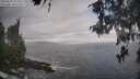 ./images/koeye/fitz-hugh/20260510/fitz-hugh20260510_103501M.jpg