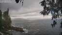 ./images/koeye/fitz-hugh/20260510/fitz-hugh20260510_104001M.jpg